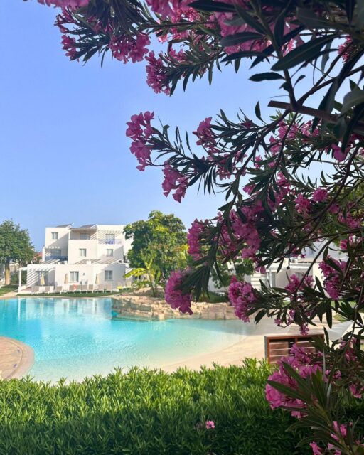 ☀️ Exklusive Inforeise nach Zypern mit @constantinoubroshotels! 🏖✈️

Vom 22. bis 25. Mai 2025 durften wir die Schönheit Zyperns und die Qualität der Constantinou Bros Hotels hautnah erleben – bei einer Inforeise voller Genuss, Austausch und authentischer Eindrücke 📸.
Vom VIP-Check-In und Meerblick-Zimmern bis hin zu Produktwissen, Hotelführungen, Kochkurs, Gin Tasting 🍸 und einem Daytrip entlang der Küste – diese Reise war ein echtes Highlight ⭐.

Ein großes Dankeschön 🙏 an unsere Partner von Constantinou Bros Hotels für die erstklassige Organisation und herzliche Gastfreundschaft auf dieser großartigen Reise🤝!

#constantinoubroshotels #zypern #cyprus #inforeise #famtrip #tltu #reiseberatung #reiseberatungontour #partnership #teamwork #experience #travel
