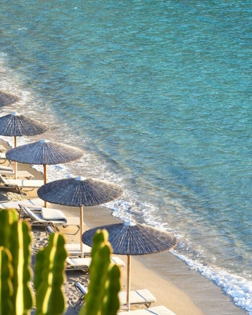 ✨ 𝗧𝗿𝗮𝘂𝗺𝘁𝗮𝗴𝗲 𝗶𝗺 𝗗𝗮𝗶𝗼𝘀 𝗖𝗼𝘃𝗲 ✨

Vier Tage voller Sonne, Genuss und Wow-Momente: Ankommen und mit einem kühlen Drink empfangen werden, traumhafte Suiten mit privaten Pools beziehen und den Blick über die türkisfarbene Bucht schweifen lassen. 🏝️

Wir durften das Resort in all seinen Facetten erleben – vom Frühstück mit legendärem Meerblick über Lunch direkt am Wasser bis hin zu exzellenten Abendessen im Ocean Restaurant und kreativen Cocktails in der Crystal Box. ✨

Ein absolutes Highlight: Der Bootsausflug nach Plaka mit Champagner-Stopp im glasklaren Wasser und Lunch mit Blick auf die geschichtsträchtige Insel Spinalonga. 🥂⛵

Vielen Dank an @tassakos, Analena und das gesamte Team für unzählige besondere Momente, eure Herzlichkeit und die perfekte Organisation dieser Reise. 💙

#daioscove #kreta #famtrip #inforeise #luxurytravel #luxusurlaub #griechenland #greece #travelinspo #reiseberatung #reiseberater #wanderlust #tltu #tltunterwegs #reiseberatungontour